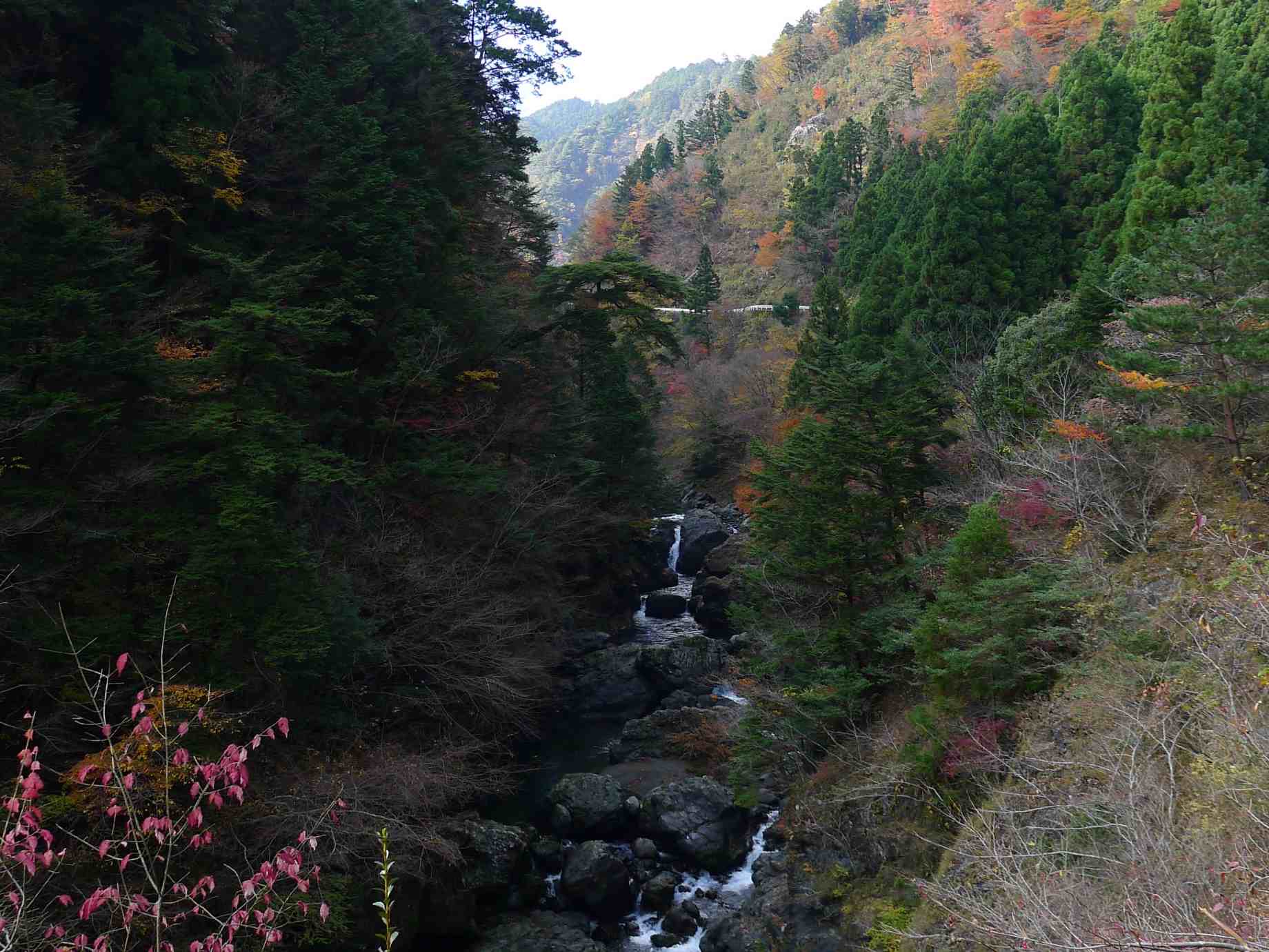 殿川内渓谷の滝